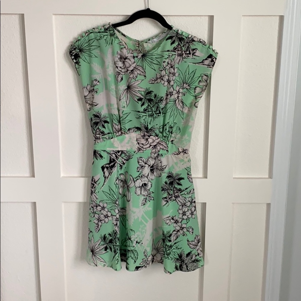 Zara Trafaluc Dress